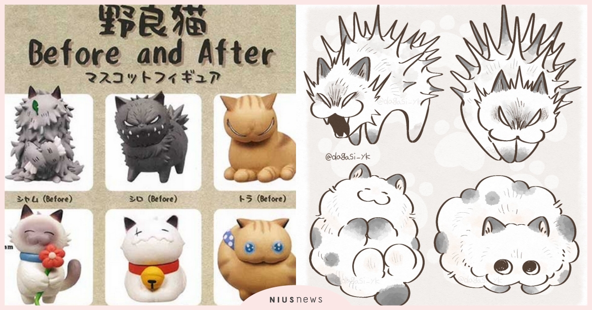 終於露出幸福笑容！日本推出「流浪貓扭蛋」呈現貓咪被收編的轉變，網淚讚：有洋蔥 野良貓、流浪貓扭蛋、日本居家生活小物、寵物選品、可愛動物、萌寵、貓奴、鏟屎官、推特熱議、貓咪插畫、溫馨