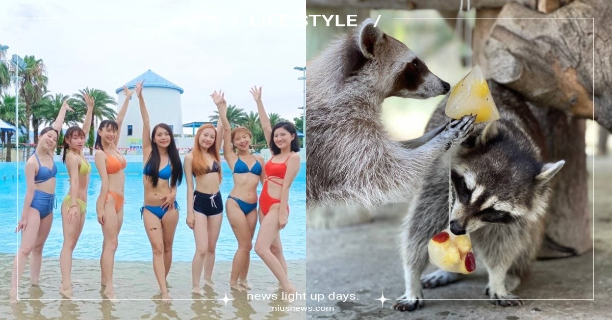 全台10個遊樂園「端午節」活動！埔心牧場推毛孩選美，六福村「鮪魚季」穿比基尼免費 2023端午節、端午連假、端午節、龍舟節、粽子節、優惠、台北市兒童新樂園、六福村主題遊樂園、麗寶樂園、九族文化村、劍湖山世界、義大遊樂世界、遠雄海洋公園、宜蘭傳藝園區、屏東海生館、Xpark