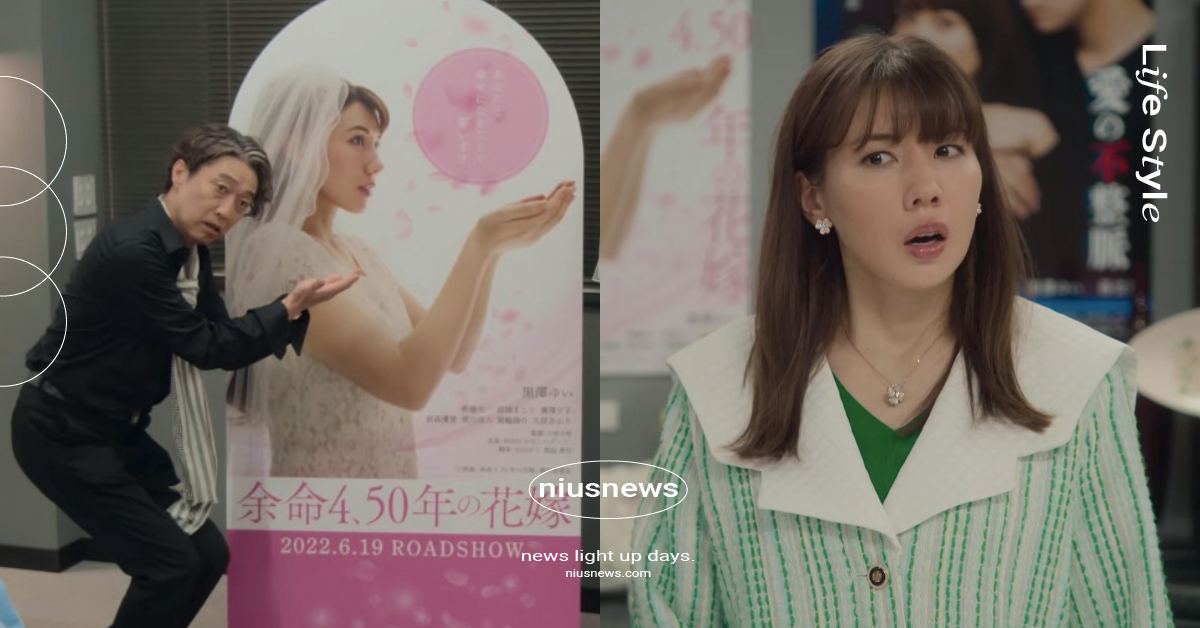 Netflix日劇《我們離婚吧》17彩蛋！致敬《愛的迫降》劇名、路人T恤驚見台灣 Netflix、Netflix日劇、日劇、我們離婚吧、松坂桃李、仲里依紗、宮藤官九郎、大石靜