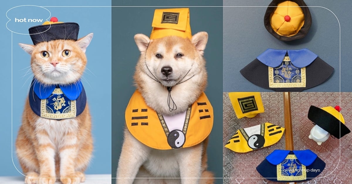 開心鬼放暑假！ZAZAZOO推激萌「寵物殭屍服＋道士袍」，狗狗貓貓請暫時停止呼吸 台灣寵物品牌、ZAZAZOO、寵物殭屍服、道士袍、開心鬼、暑假、暫時停止呼吸、萌寵、可愛動物、貓、狗、寵物服飾、寵物選品