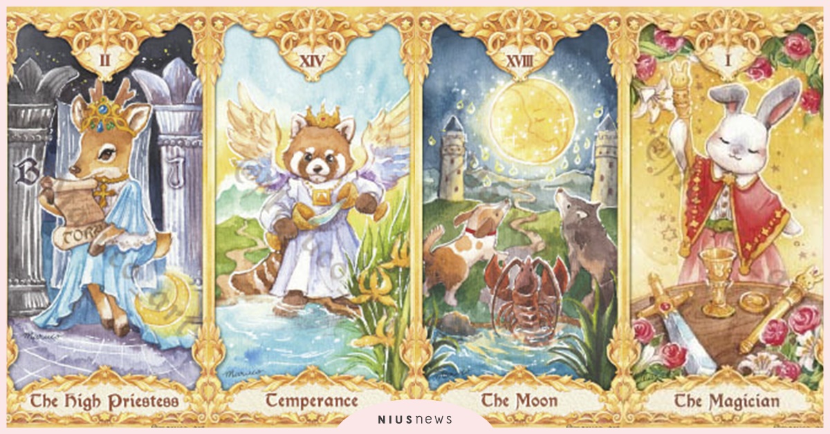 一張牌測出你戀愛時更重視「顏值or內涵」！挑對象時容易以貌取人？｜塔羅測驗 塔羅、塔羅牌、塔羅心測、塔羅占卜、愛情、兩性