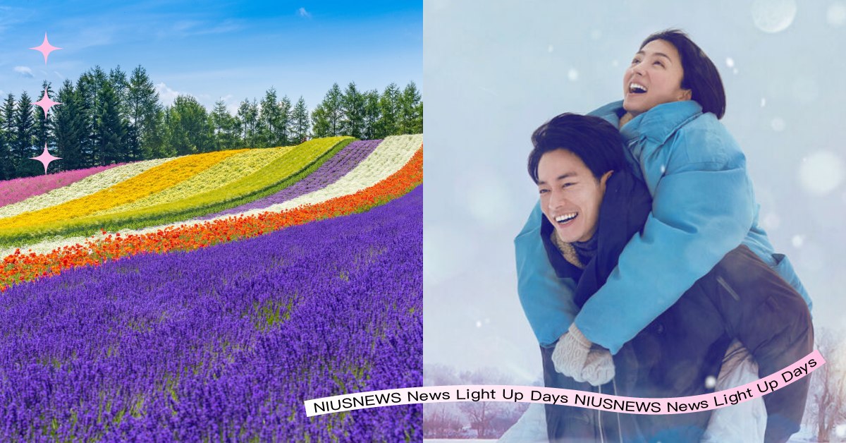 7個你不知道的北海道冷知識！女生在雪地也能穿高跟鞋？沒有小強是真的嗎？  日本、北海道、北海道冷知識、北海道旅遊、北海道穿搭、北海道景點、