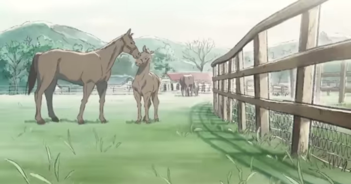 據說這匹馬，不需言語也能相通 JRA公式チャンネル、Aimer、crossovers、日本中央競馬会