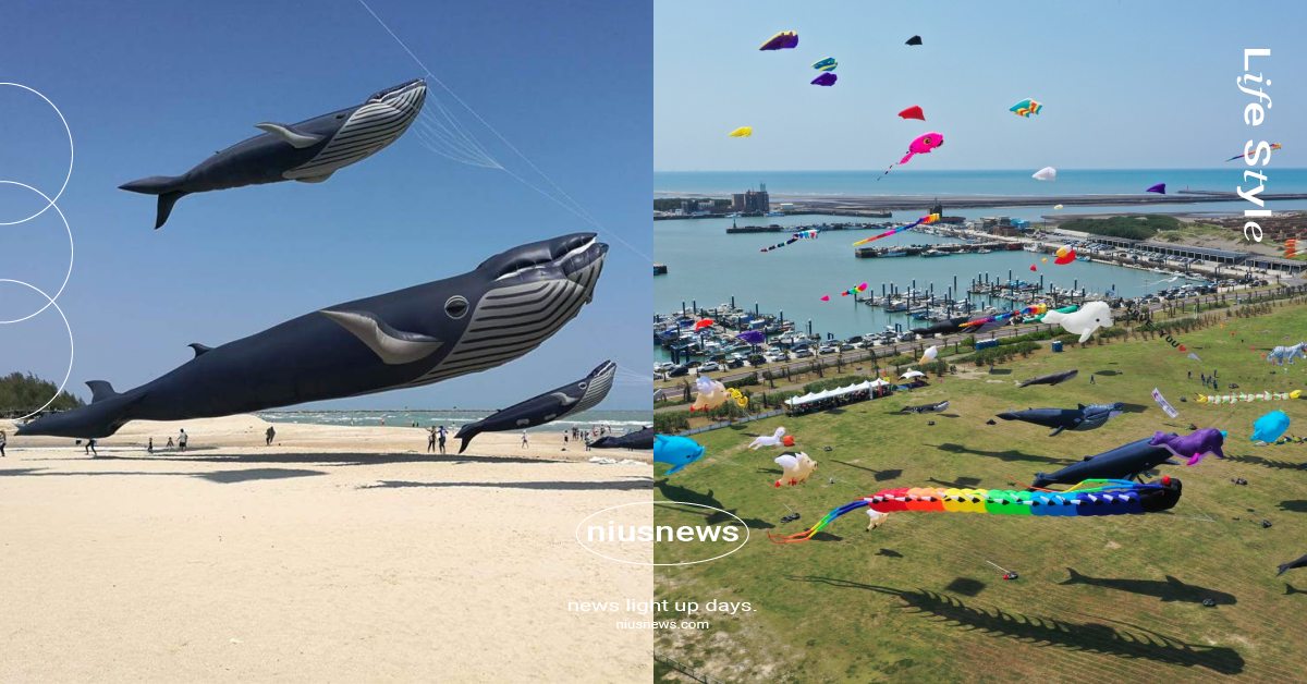 全台4大必玩「風箏節」！新竹打造全球最大「鯨魚風箏」，魚尾獅、瑞士牛超萌必拍 風箏節、風箏、高雄旗津風箏節、新竹市國際風箏節、桃園國際風箏節