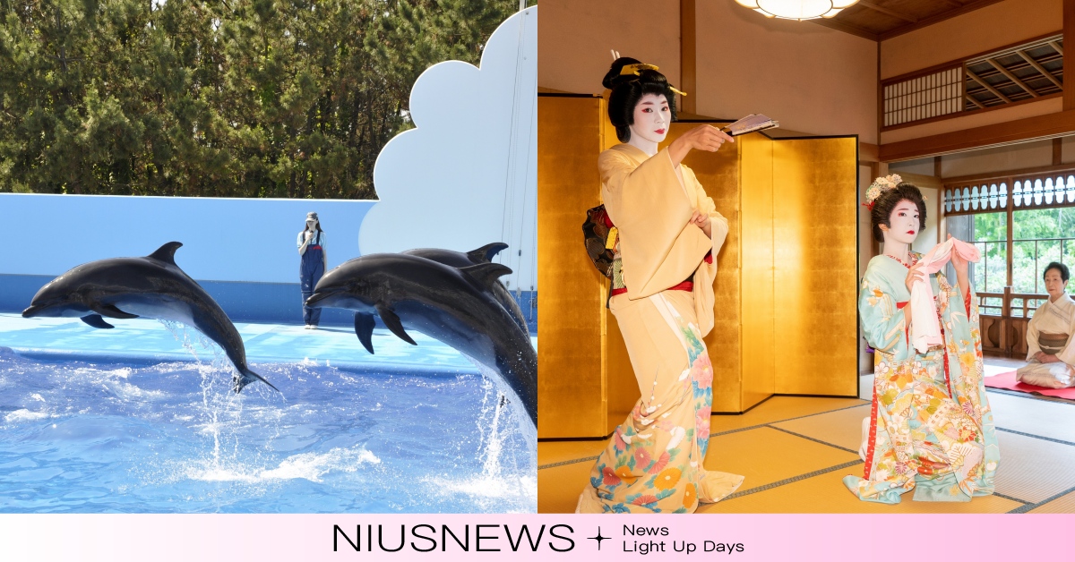 東京近郊「新潟旅遊」5大必訪景點！2天1夜行程這樣排，JR站超便宜清酒？ 新潟、新潟旅遊、東京近郊、新潟行程、新潟景點、日本美食、日本、日本旅遊、日本景點、東京旅遊