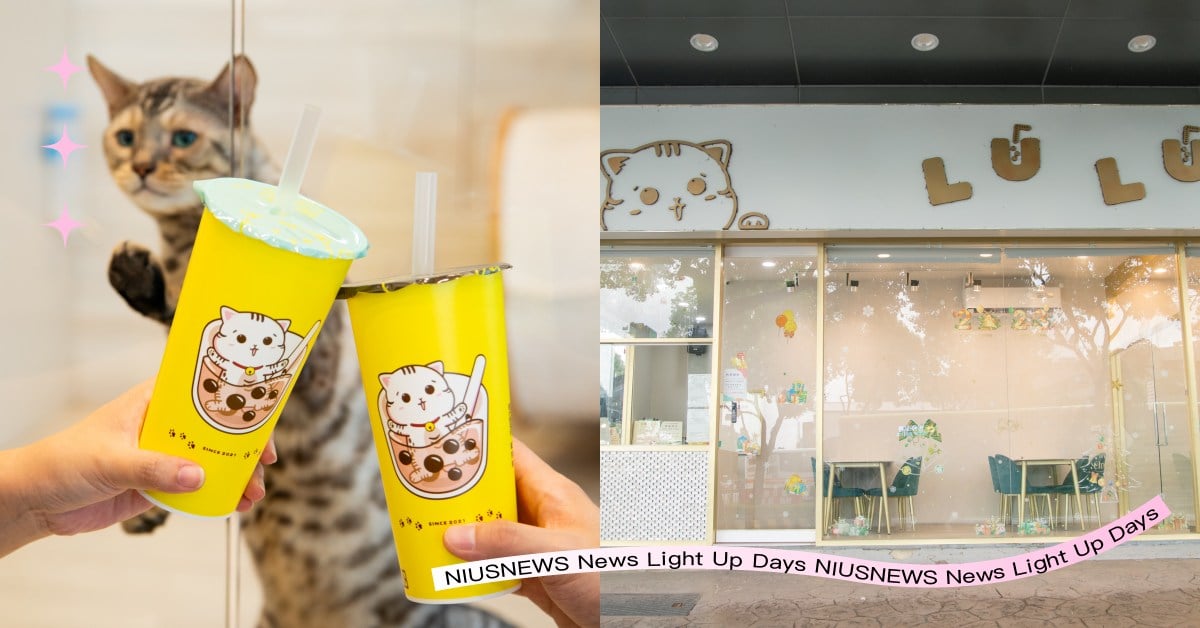 林口貓奴注意！「LULU茶飲專賣店」推薦必喝黑糖珍珠奶茶，邊喝還能邊擼貓！ 奶茶節、LULU茶飲專賣店、LULU茶飲專賣店菜單、LULU茶飲專賣店推薦、LULU鮮奶茶、黑糖珍珠奶茶、林口手搖店推薦