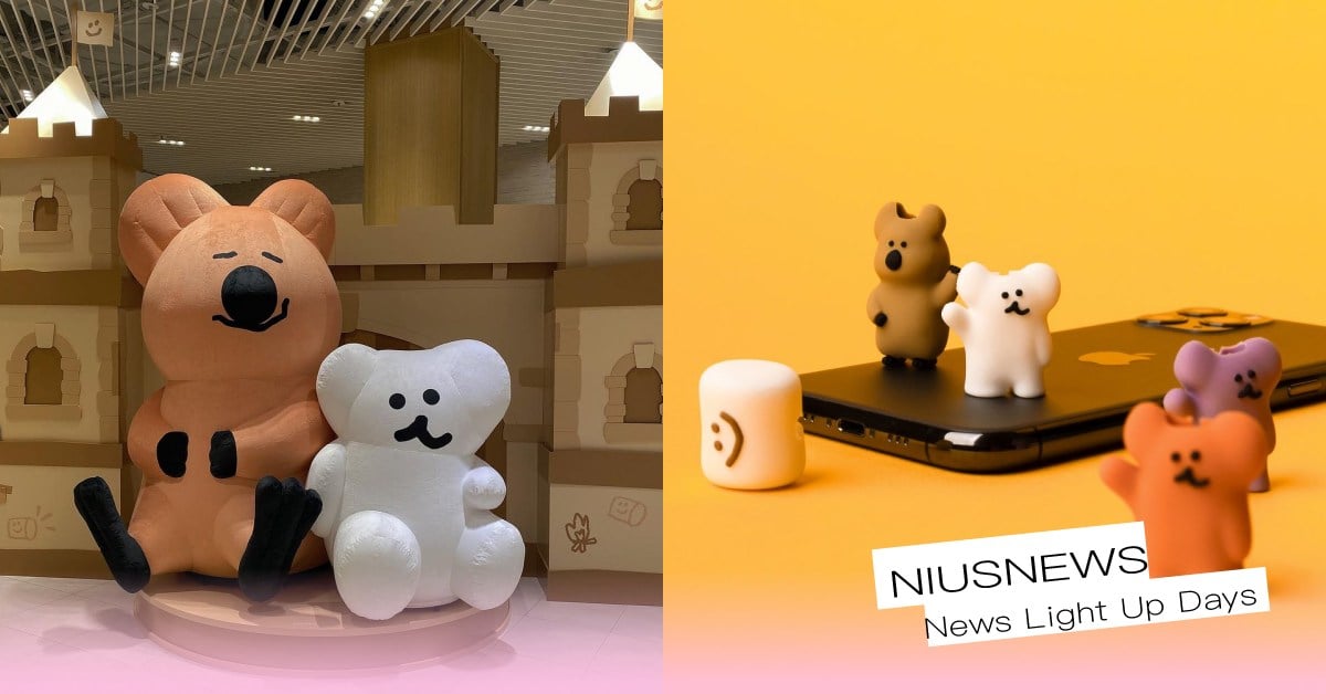 關於「韓國Dinotaeng 」的7件事！周邊角色揭秘、Quokka日常歌單公開 韓國文創、韓國插畫設計師、Quokka、Dinotaeng、五桐號