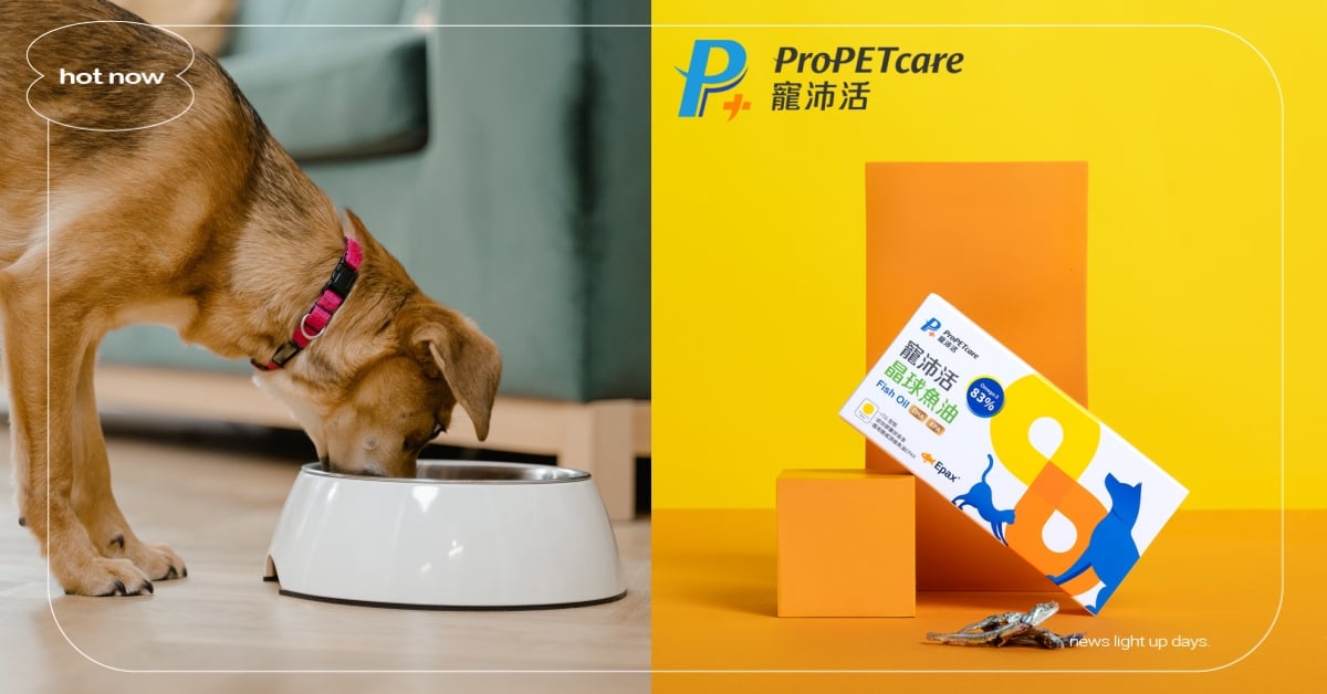 心碎滿地～買魚油給毛孩卻不吃鬧脾氣？專業獸醫師不私藏餵食妙招！讓毛孩開心又健康～ 毛孩、保健、獸醫、魚油、食品