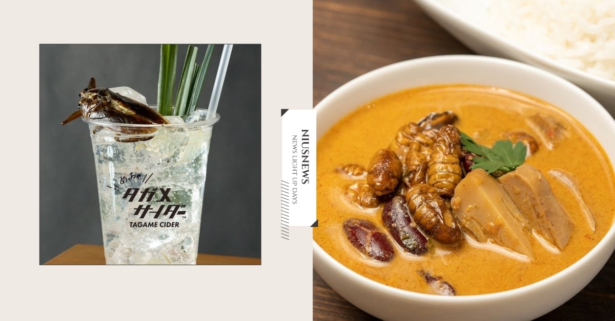 日本東京獵奇「昆蟲料理專賣店」！蠶咖哩、水蟑螂蘇打、蚱蜢燉飯驚嚇指數破表 日本東京、Take-Noko、昆蟲料理、昆蟲餐廳、蠶料理、蚱蜢料理、蟑螂料理