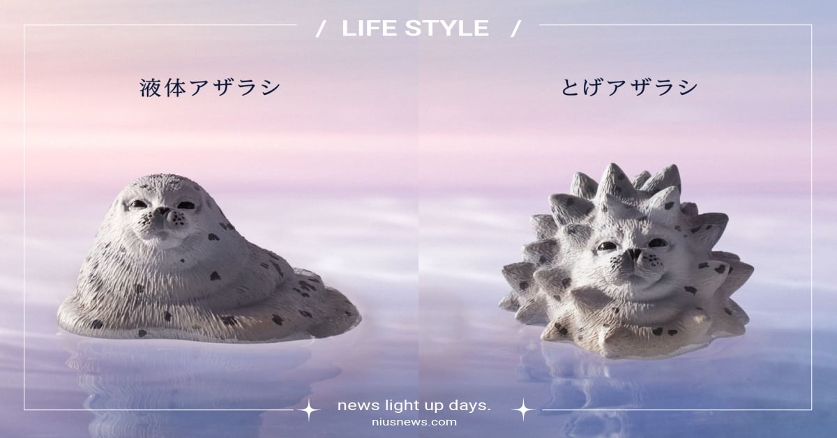 嗷嗷嗷？日本推出5款「海豹物體」扭蛋！惡搞療癒系萌獸、厭世表情超爆笑 扭蛋、海豹、海豹物體、海豹扭蛋、日本扭蛋