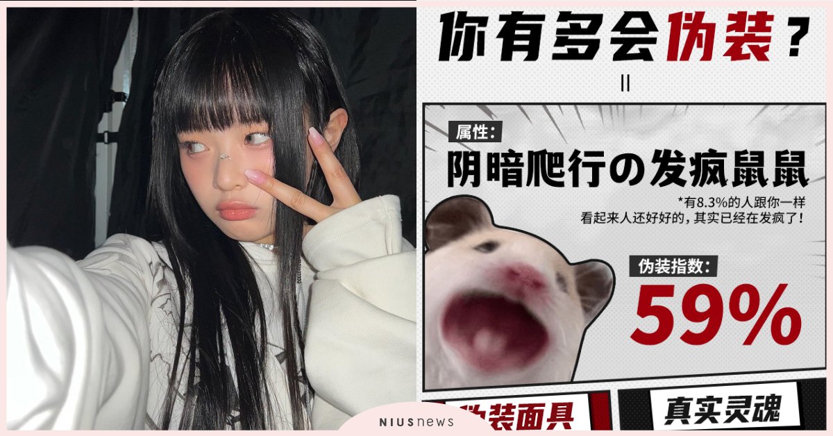 網瘋傳「社交偽裝指數」心理測驗！ 小狗交人先交心、發瘋鼠鼠容易陷入自我PUA？ 心理測驗、測驗、社交偽裝、社交、偽裝