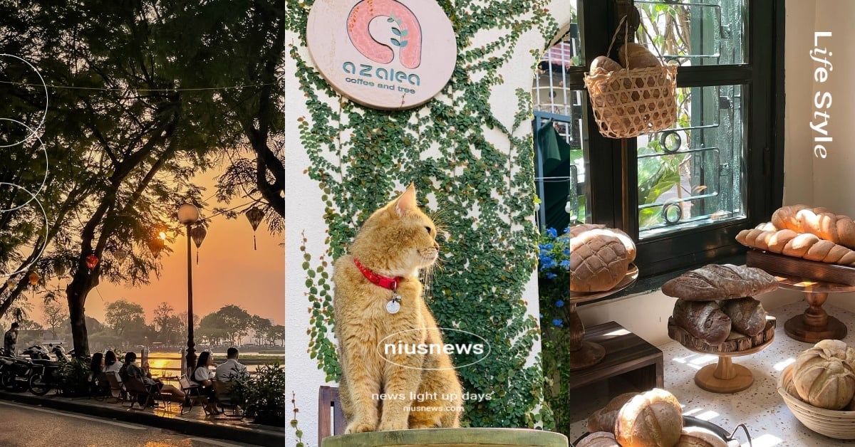 7間越南「河內市」特色咖啡廳！法式麵包店人氣必拍、湖邊欣賞落日餘輝超療癒 東南亞、越南、越南咖啡廳、河內、Hà Nội、河內市、亞洲、ViệtNam、特色咖啡廳、Vietnam cafe、咖啡廳、Thành phố Hà Nội、越南旅遊、亞洲旅遊