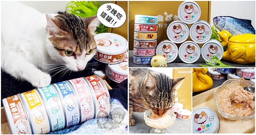 貓咪主食系列|好食寓所肉泥主食罐開箱心得，六種口味、97%優質肉源，雞湯好騙水 貓咪罐頭、貓咪主食、貓咪鮮食、貓咪主食罐