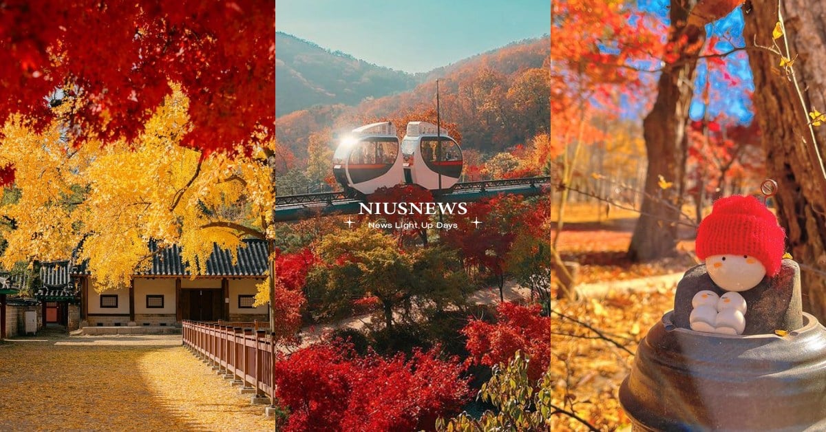 2023韓國8個「賞楓景點」推薦！膠囊小火車一票難求、景福宮就能一覽楓葉美景！ 韓國賞楓景點推薦、韓國秋季行程、景福宮、南怡島、首爾大公園、晨靜樹木園、和談林楓葉公園、成均館明倫堂、五臺山、仁川大公園