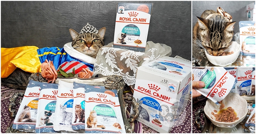 貓咪濕糧推薦|ROYAL法國皇家-大大肉塊濃稠湯汁，1歲以上成貓適用的主食罐餐包 貓咪、貓主食、貓鮮食、貓罐頭、貓主食罐、法國皇家