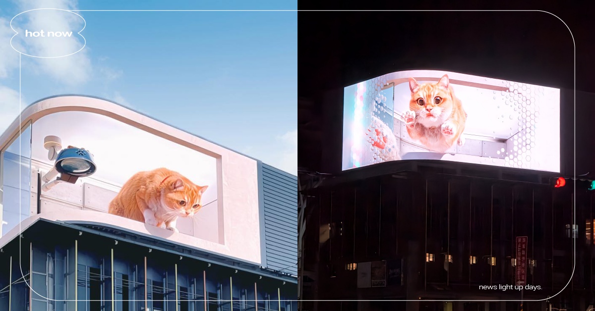 全台最大「3D胖橘貓」登陸基隆市！大貓萌獸出籠24小時輪播，詳細地點整理 3D胖橘貓、基隆景點、基隆打卡、ANIVERSE漫遊者實境體感基地、基隆市政府、智崴集團