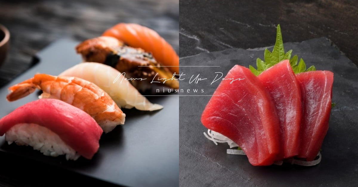 日旅必存「19種生魚片」日文與中文對照！壽司店點餐沒煩惱，鮪魚部位挑「大トロ」？ 鮪魚日文、生魚片日文、鮭魚日文、壽司店點餐、壽司、生魚片、日文學習