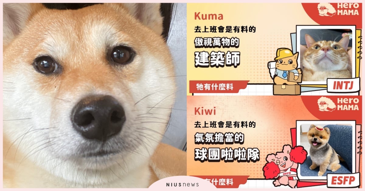 超神準「寵物版MBTI」貓狗心理測驗！8道題精準描述隱藏性格，還有毛孩工作志向？ 寵物版MBTI、心理測驗、心測、HeroMama、MBTI測驗2023