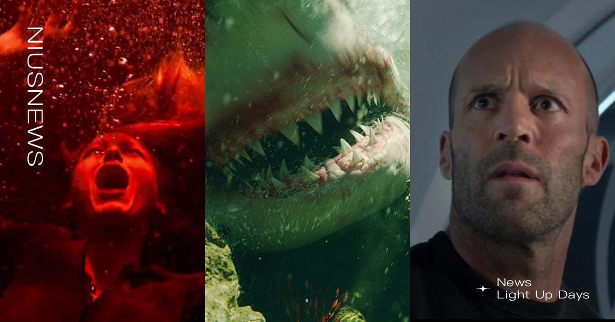 5部「鯊魚電影」驚悚片單！布蕾克萊芙莉《絕鯊島》、傑森史塔森《巨齒鯊》生死搏鬥 鯊魚電影、驚悚電影、驚悚片、鯊魚