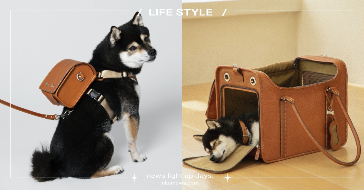 日本職人驚推5款寵物用品！皮革「狗狗書包」可愛度爆表、「狗骨頭項圈」大加分 土屋鞄製造所、寵物用品、職人手作、皮革、日本、日本職人、書包、項圈、背帶、牽引繩、手提包