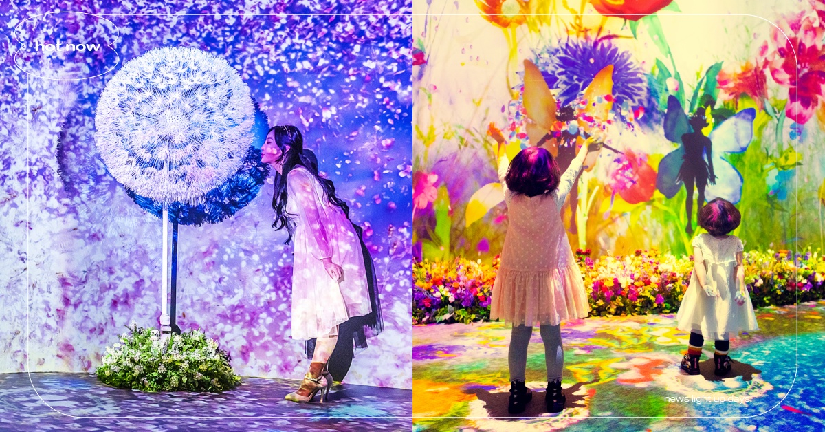 日本「花之舞光影展」12月科教館開展！7大展區＋展覽時間地點資訊 科教館展覽、2024展覽、寒假展覽推薦、日本花之舞光影展、NAKED FLOWERS花之舞光影展、寬宏藝術