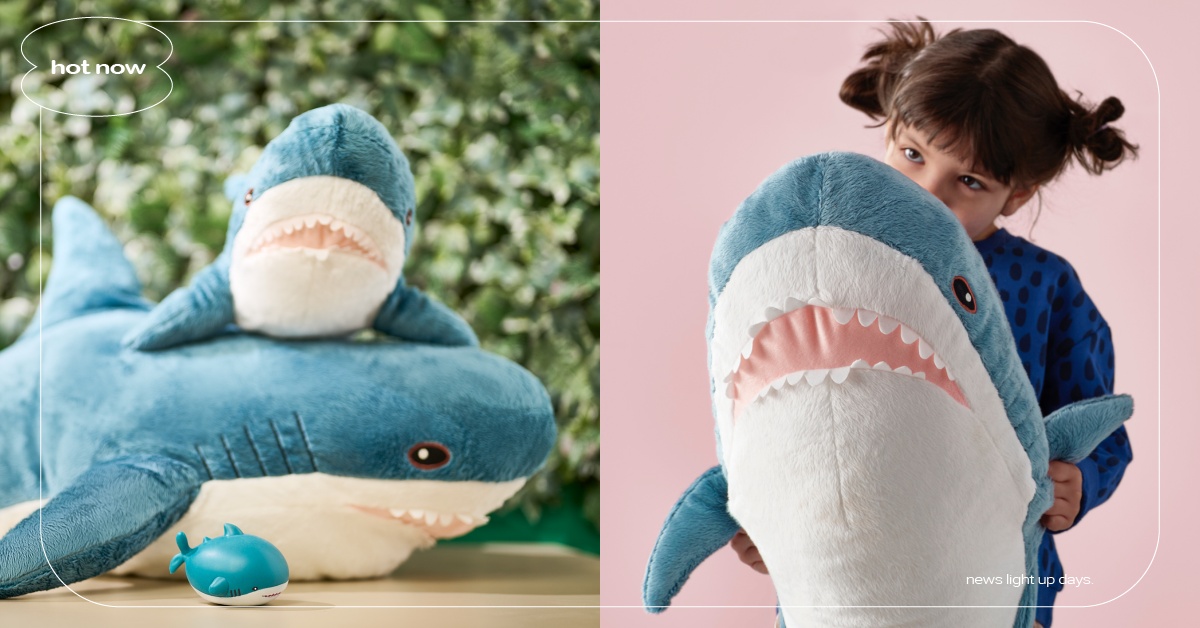 10件「IKEA鯊魚」身世秘密大公開！曾經歷換眼手術？開賣前需接受全身檢查？ IKEA鯊魚、IKEA鯊魚丸、IKEA鯊魚尺寸、IKEA鯊鯊