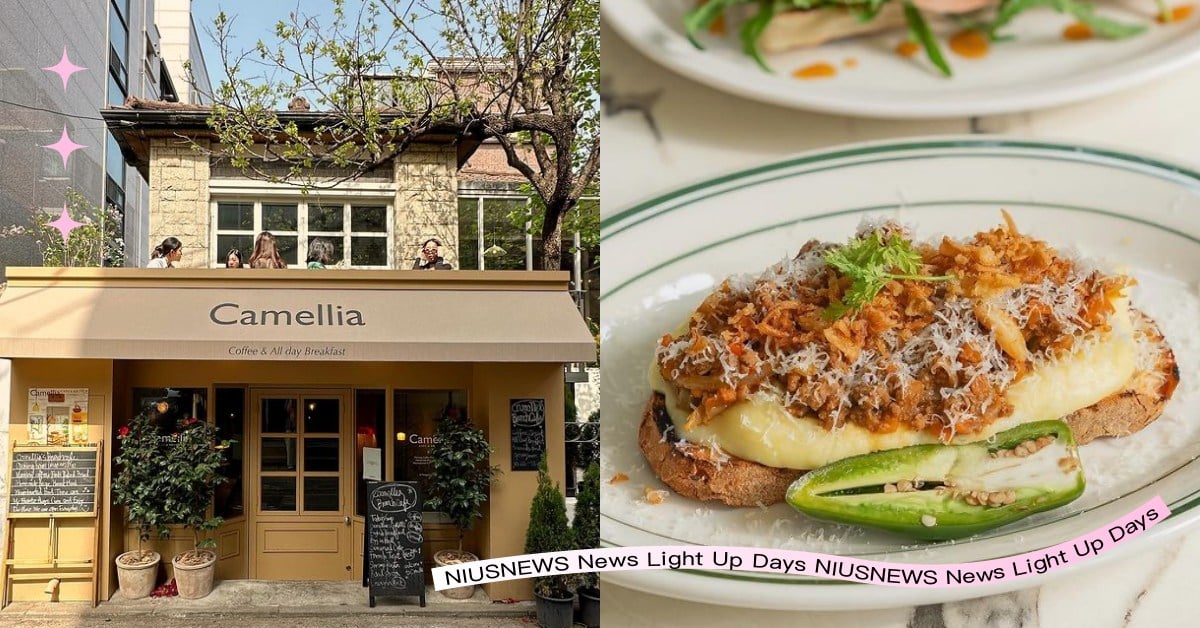 2023首爾6家「早午餐」推薦！歐式風格盤餐、三明治搶打卡，韓妞必訪「弘大區」！ 首爾早午餐推薦、延南洞早午餐、弘大早午餐、愛玩妞在韓國、