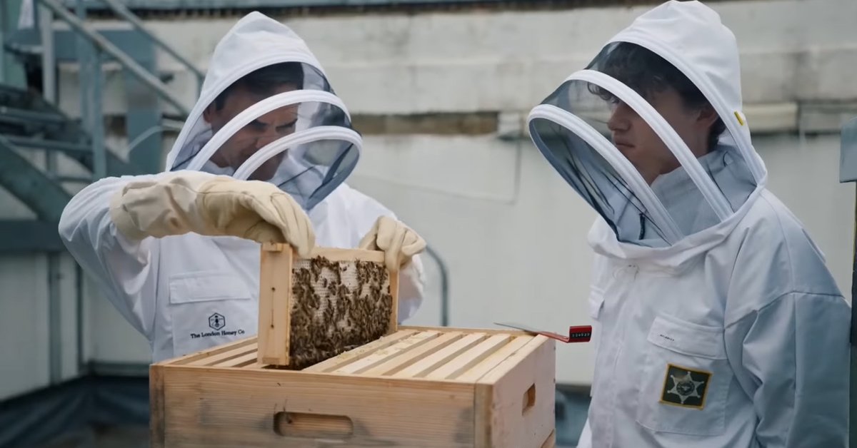 費德勒全副武裝，參見女王蜂 費德勒、倫敦、網球、球王、UNIQLO、泰德現代藝術館、蜜蜂、女王蜂