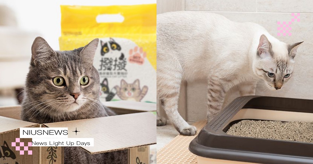 貓奴必收「撥撥貓砂」！木薯成分環保又除臭，礦型顆粒打造舒適「無痛換砂」環境 撥撥貓砂、當個毫不費力鏟屎官、木薯