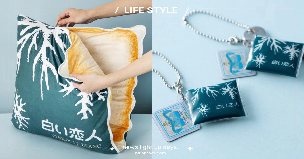 5款白色戀人周邊推薦！等比例還原「巨大化抱枕」好勸敗、「夾心餅乾紙膠帶」文青必收 白色戀人、北海道白色戀人、北海道、日本伴手禮、白色戀人周邊、抱枕、紙膠帶