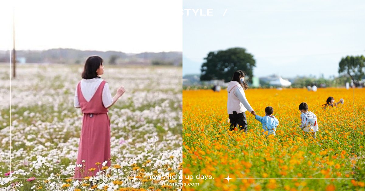 2023「嘉義花海生活節」登場！20公頃花海絕美必拍，告五人、宇宙人接力開唱 嘉義花海生活節、2023嘉義花海生活節、嘉義市政府、LA RUE 文創設計、寶島製造、下港女子、花海、告五人、宇宙人、Crispy脆樂團