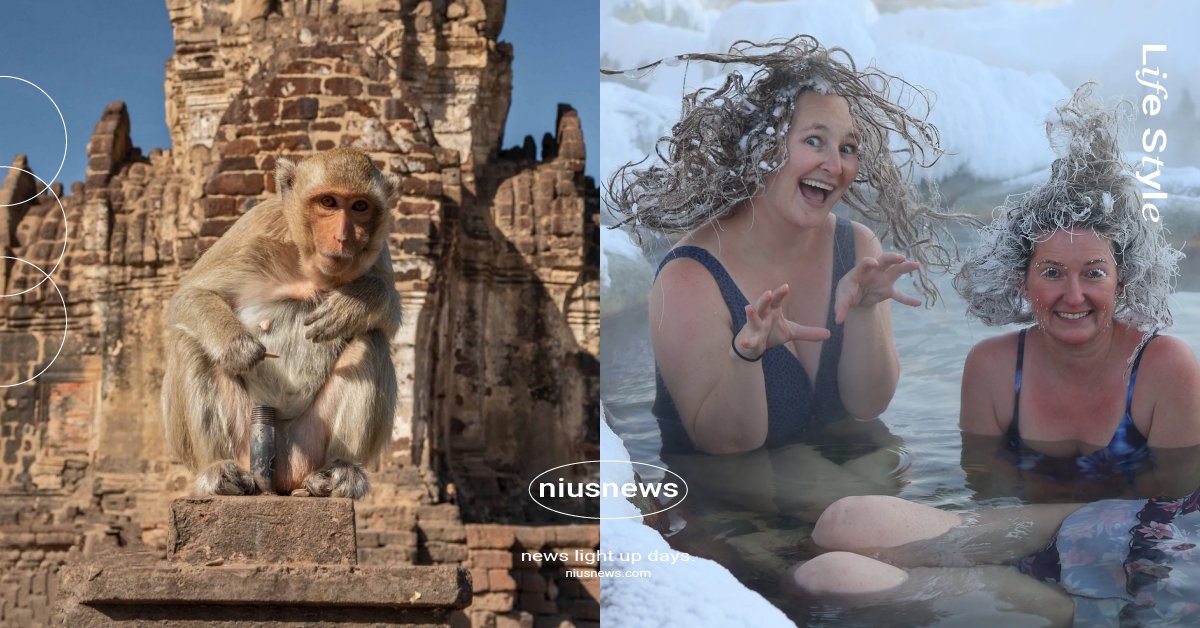 全球6個最新奇古怪慶典！泰國「猴子節」超壯觀、加拿大「冰凍髮型大賽」冬季限定 Booking.com、新奇古怪慶典、西班牙疊羅漢大賽、泰國猴子節、瓦哈卡蘿蔔之夜、蘇格蘭勒威克聖火節、義大利柳橙大戰、加拿大國際冰凍髮藝大賽