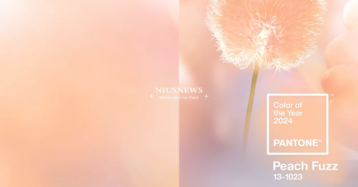 2024 PANTONE代表色「柔和桃」！ Peach Fuzz展現歸屬感和重整 2024 PANTONE、Peach Fuzz、Pantone、Pantone2024、2024色票、Pantone代表色、PANTONE 131023 Peach Fuzz