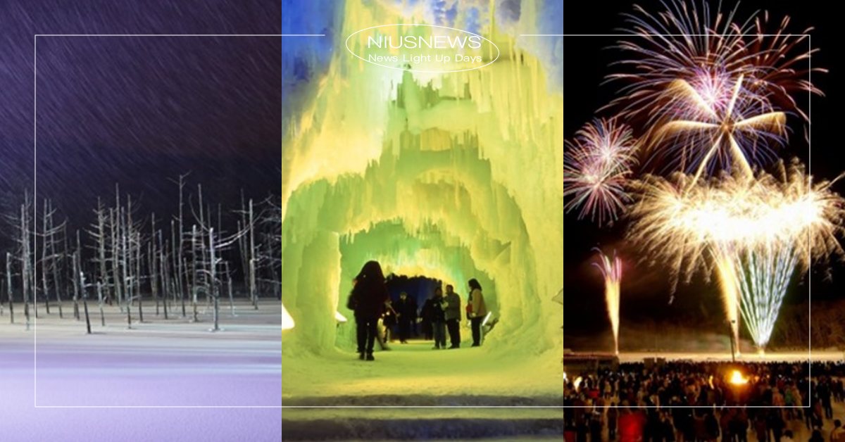 2024北海道冬季活動懶人包！一生必去「美瑛町青池」、零下20度阿寒湖賞煙火 北海道、北海道景點、北海道旅遊、2024北海道、北海道冬季景點