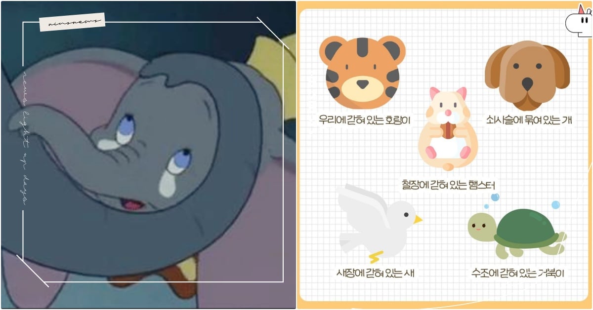 韓IG心理測驗「選最可憐的動物」測最近壓力指數！1分鐘找出主因、洞悉解決方法 壓力指數測試、2024心測、動物看個性、可憐動物心理測驗、動物測驗、壓力測驗、IG心理測驗心測、韓國心理測驗、2023心測、個性心理測驗、性格心理測驗、人際關係心理測驗、戀愛心理測驗、2023心理測驗推薦