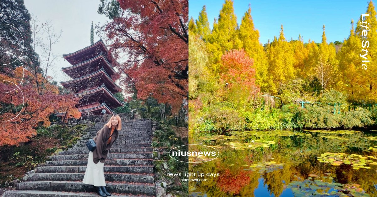 日本四國高知縣9大必訪「賞楓秘境」！竹林寺還能朝聖參拜、安居溪谷有著絕美仁淀藍 日本、四國、冬季、高知縣、高知県、賞楓秘境、秋天、秋季、賞楓、楓葉