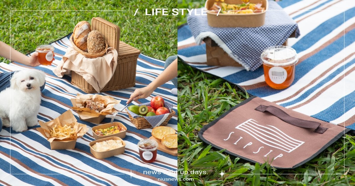 華山「SipSip Bar」聯名不然趣野餐！推輕奢雙人野餐套組，寵物友善超貼心 華山、SipSip Bar & Restaurant、華山1914文化創意產業園區、夏日草地野餐企劃、All Day Dinning