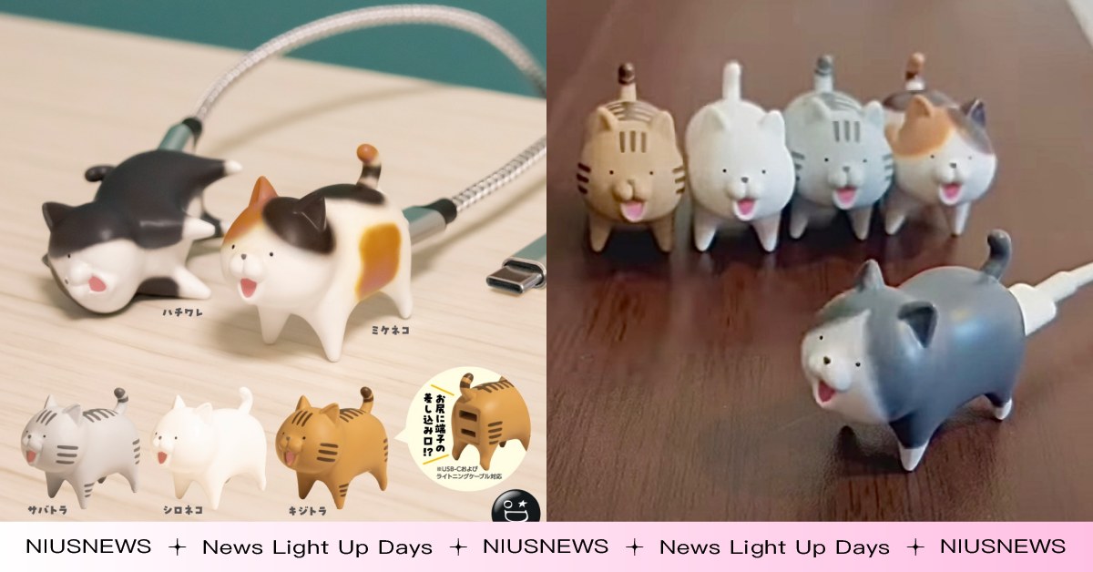 菊花失守！日「流浪貓屁屁插座扭蛋」超無用但可愛，胡鬧設計讓人不獸控制？ 流浪貓屁屁插座、扭蛋、小廢物、日本、日本扭蛋、ノラネコンセント、TAMA-KYU