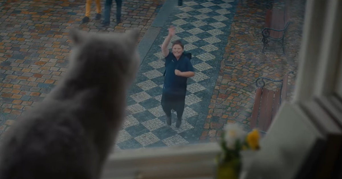 每天經過窗前，我總期待回頭望 YKKAP、YKK AP公式、貓、いつもの場所、窓と猫の物語