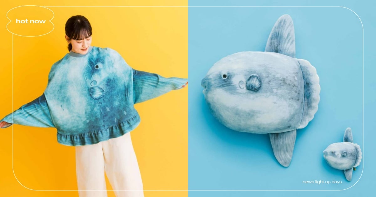 日牌驚推3大呆萌「曼波魚」周邊！造型家居服過分可愛、寫實大抱枕超欠抱緊 felissimo、八景島海島樂園、曼波魚、曼波魚周邊、曼波魚抱枕、曼波魚居家服、曼波魚收納包、YOU+MORE