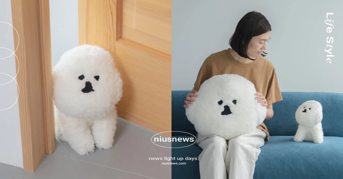 日牌「比熊犬門擋」萌翻全網！「蓬鬆卷毛＋呆萌神情」過分可愛，巨型抱枕也超勸敗！ 日本雜貨、日系雜貨、質感雜貨、Claska、MAMBO