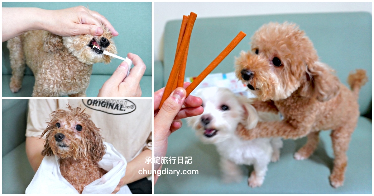 宏瑋寵物-全台唯一醫材專業寵物品牌，狗狗的日常生活起居，一次就搞定！ 