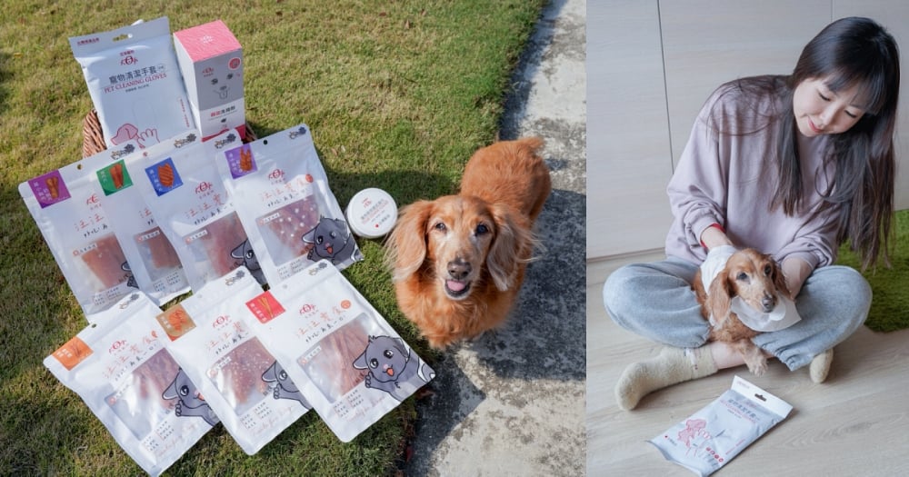 宏瑋寵物全台唯一醫材專業寵物品牌！開箱狗狗清潔手套、寵物眼部擦拭巾、MIT汪 