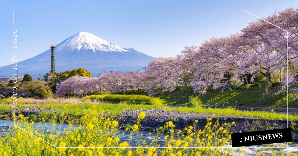 【2024日本賞櫻】全國最佳賞花期、賞櫻景點、櫻花種類懶人包！新手櫻花知識大全 日本、櫻花、櫻花季、賞櫻、櫻花種類