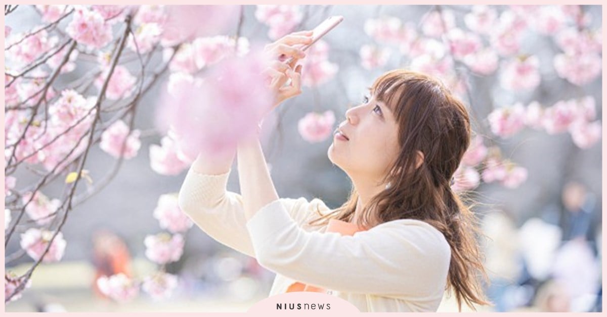 日本賞櫻必知「櫻花知識」大全！哪種日幣有印櫻花？「櫻之日」是哪一天？ 日本文化、櫻之日、櫻花、日本