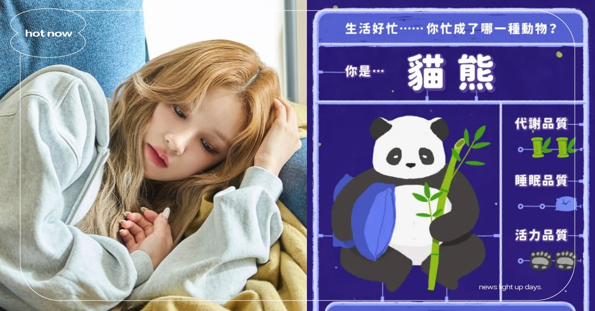 心理測驗「你忙成了哪一種動物？」6題測出睡眠品質，累成「貓熊」黑眼圈遮不住 心理測驗、心測、你忙成了哪一種動物、睡眠品質、活力品質、代謝品質、睡眠