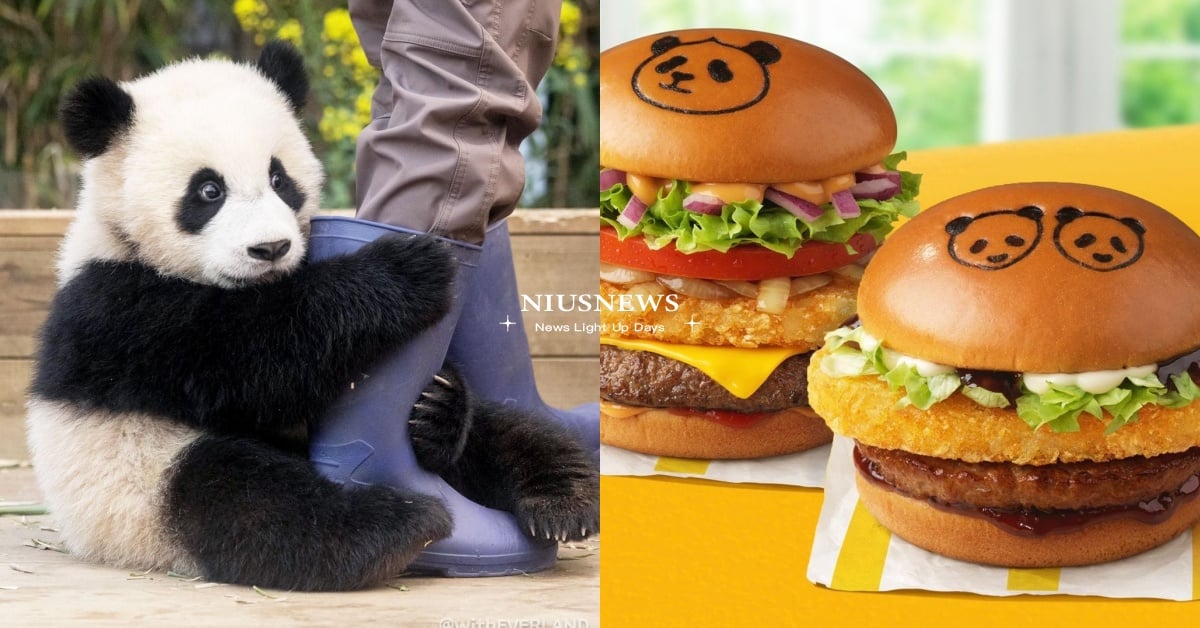 韓國麥當勞「寶家族熊貓」聯名3款新品！福寶造型薯餅漢堡＋周邊商品套餐整理 韓國麥當勞、寶家族熊貓、愛寶、樂寶、福寶、睿寶、輝寶、韓國熊貓