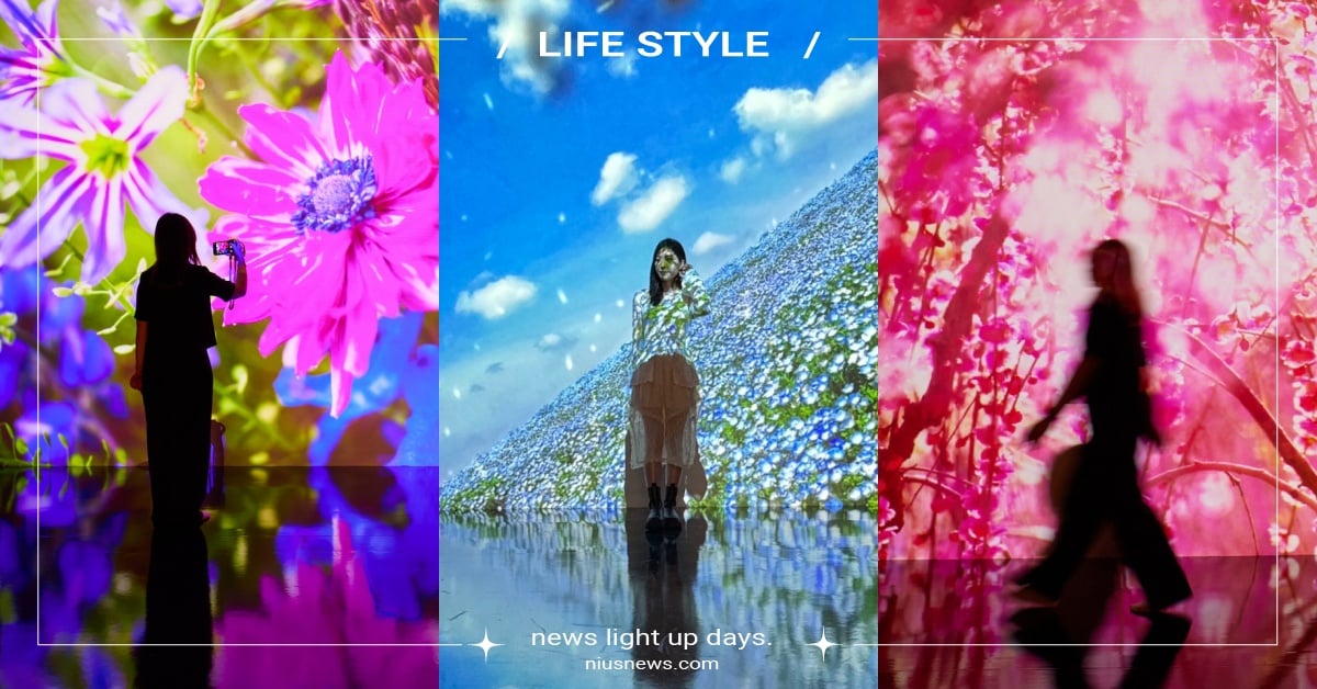 蜷川實花《瞬間的永恆》沉浸式光影藝術展！12幅大型攝影作品＋6大獨家週邊 蜷川實花展覽2024、瞬間的永恆、2024暑假展覽、Floral Resonance、新光三越Diamond Towers、蜷川實花展覽台灣、蜷川實花台北