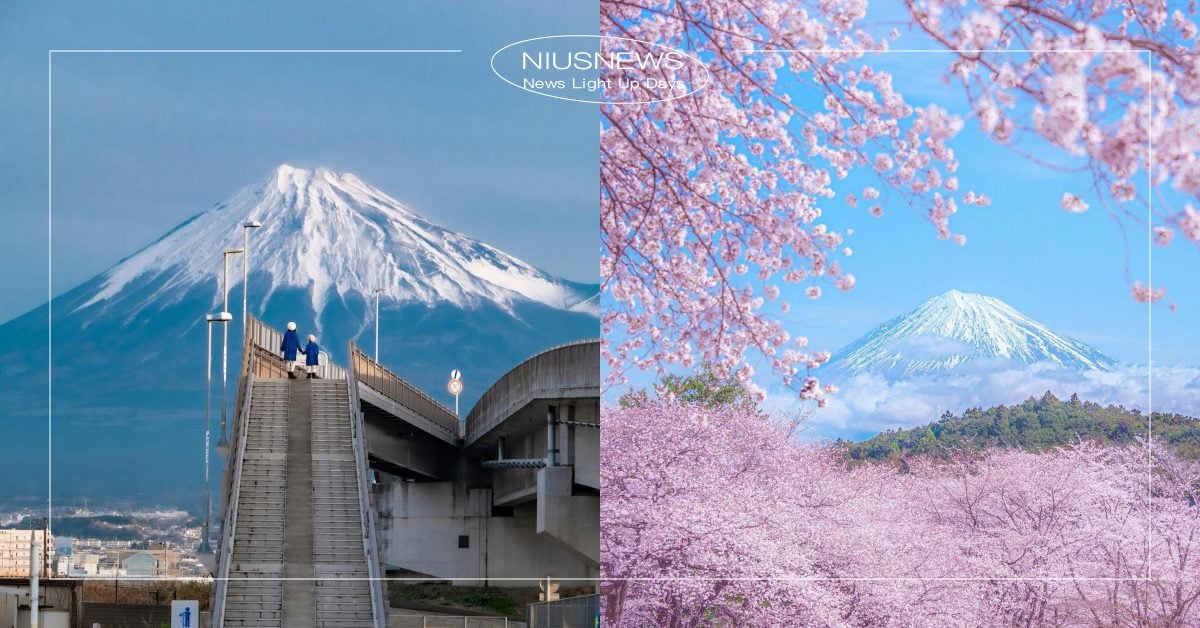 河口湖LAWSON被黑布擋住？7大「夢幻富士山拍攝點」必筆記，爆紅夢之大橋超好拍 河口湖LAWSON、富士山打卡點、富士山拍攝點、夢之大橋、富士山