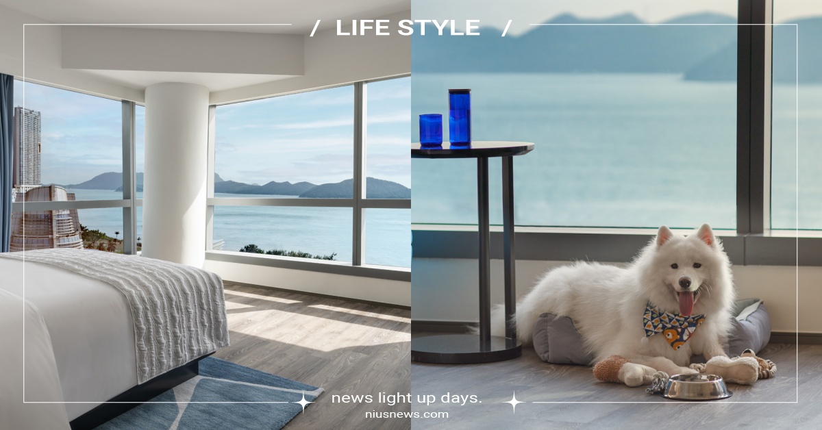 2024香港酒店「數碼港艾美酒店」12大推薦！寵物友善客房激推，打卡天際游泳池 2024香港自由行、香港酒店推薦、香港飯店推薦、香港住宿、香港數碼港艾美酒店、Le Méridien Hong Kong、萬豪、換城放輕鬆